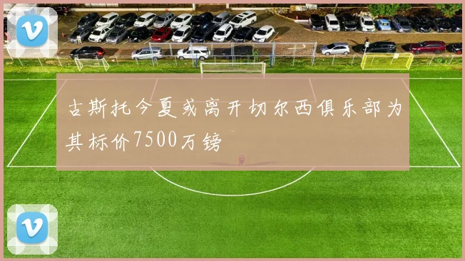 古斯托今夏或离开切尔西俱乐部为其标价7500万镑